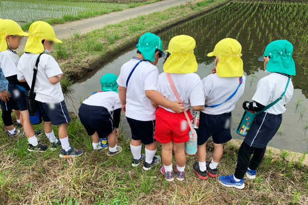 まち保育（園外散歩）